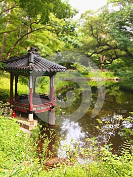 The Legendary Secret Garden of Changdeokgung