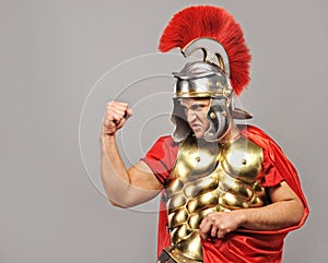 Legionary soldier photo