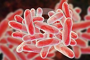 Legionella pneumophila bacteria