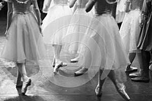 Legs of ballet dancers corps de ballet in pointe shoes