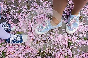 legs in blue and blue starlet sneakers on fallen sakura