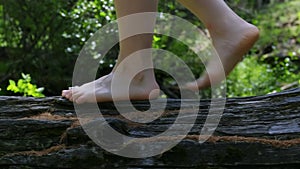 Legs close-up. A girl with bare feet walks on a log in a green forest. 4K