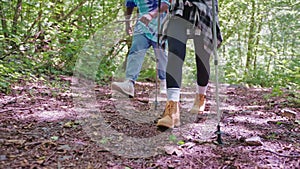 Legs of couple in trekking shoes hiking in mountain trail with sticks.