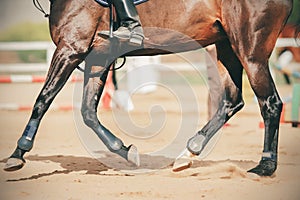 The legs of a fast racehorse that runs a route in an arena