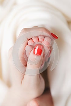 Legs, feet of a newborn baby in the palms of mom on a white background, happiness in the hands, mother`s love