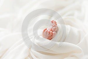 Legs, feet of a newborn baby on a white background, happiness in small legs, mother`s love