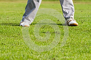 Legs of golfer on green field