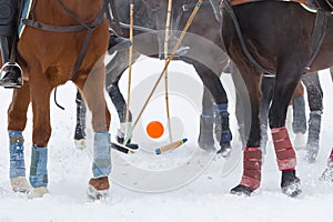 Legs of horses and hoof with sticks and ball on the game horse polo on the snow in winter