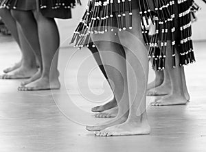 Legs of hula dancers performing in Waikoloa