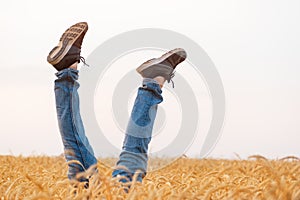 Legs in jeans and sneakers on sky background and fields of wheat