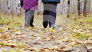 Legs of little girl and woman go in autumn forest