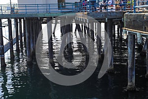 The legs of a long wooden pier in vast blue ocean water at Santa Monica Beach in Santa Monica