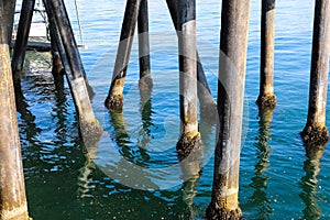 The legs of a long wooden pier in vast blue ocean water at Santa Monica Beach in Santa Monica