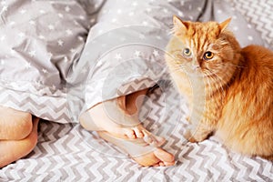 Legs of lovers under blanket. Happy couple having fun in bed.