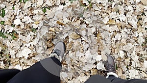 The legs of a man and a woman, shod in warm shoes, walk along the fallen leaves