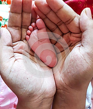 the legs of a new born  baby in the hands