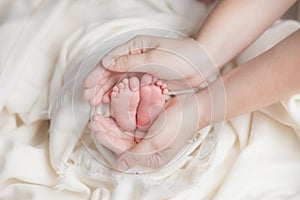 Legs of a newborn baby in the arms of his mother, on a white light background, motherly love and tenderness