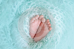 Legs of a newborn baby close up on a blue background