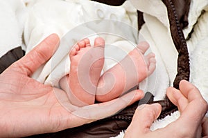 Legs newborn baby girl  in the parent hands on a white background clothes