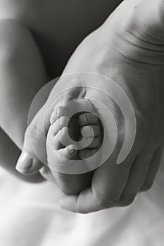 Legs of a newborn baby in the hands of mom