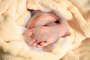 Legs Of Newborn Baby In Plaid Close Up