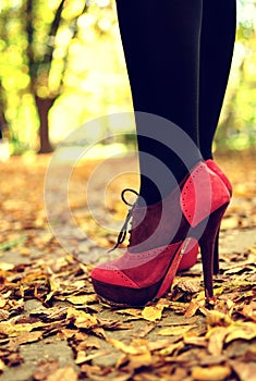 Legs with pink high-heels in park