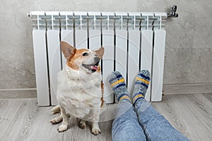 A woman in warm knitted woolen socks and cute corgi dog near a home heater in the cold autumn-winter season.