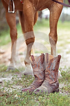 The legs of a red-colored quaterhorse and cowboy old boots in the foreground