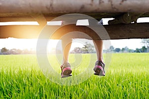 The legs of relaxing woman, enjoy view of green paddy field