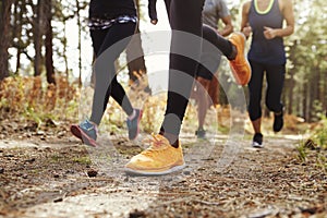 Legs and shoes of four young adults running in forest, crop