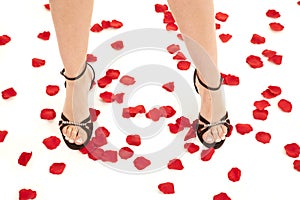 Legs with shoes on rose pedals