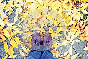 Legs and shoes and yellow leaves at autumn