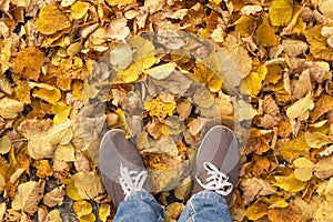 Legs in sport shoes standing on yellow autumn dry leaves. Feet in shoes walking in fall nature