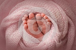 Legs, toes, feet and heels of a newborn baby. Wrapped in a pink knitted blanket.