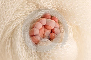 Legs, toes, feet and heels of a newborn baby. Wrapped in a white knitted blanket