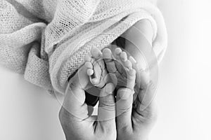 Legs, toes, feet and heels of newborn. With the hands of parents, father, mother