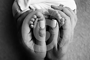 Legs, toes, feet and heels of a newborn.Mother gently holds the child& x27;s legs.