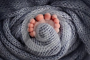 Legs, toes, feet and heels of a newborn. Wrapped in a gray knitted blanket. Knitted heart in baby's legs.