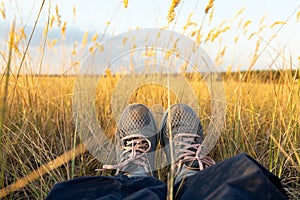 The legs of a traveler in gray sneakers in the field of Blooming reed Calamagrostis epigejos. A tired woman rests in a field in