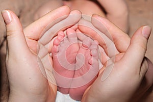 The legs of a two-week-old baby are in the hands of a mother. The palms of a woman and the feet of a child, the love and