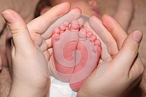 The legs of a two-week-old baby are in the hands of a mother. The palms of a woman and the feet of a child, the love and