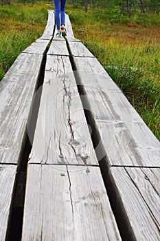 Legs walking away on wooden pathway