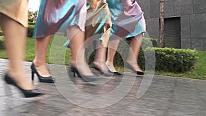 The legs of women in black shoes synchronously walking down the street. Beautiful legs of women walking in a row