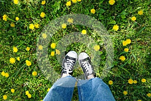 Legs of a young girl in a sneakers with on a green grass. Top view