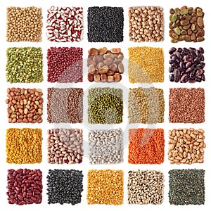 Legume photo