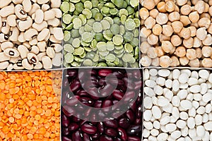 Legume background, assortment - kidney beans, peas, lentils in square cells closeup top view.