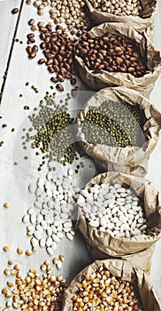 Legumes bean seed in sack, top view