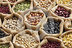 Legumes