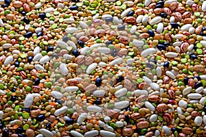 Legumes and cereals