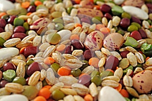 Legumes and cereals photo